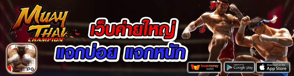 พักยก 369